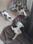 Magia und Nuca (3)